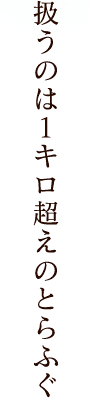 扱うのは１キロ越えのとらふぐ